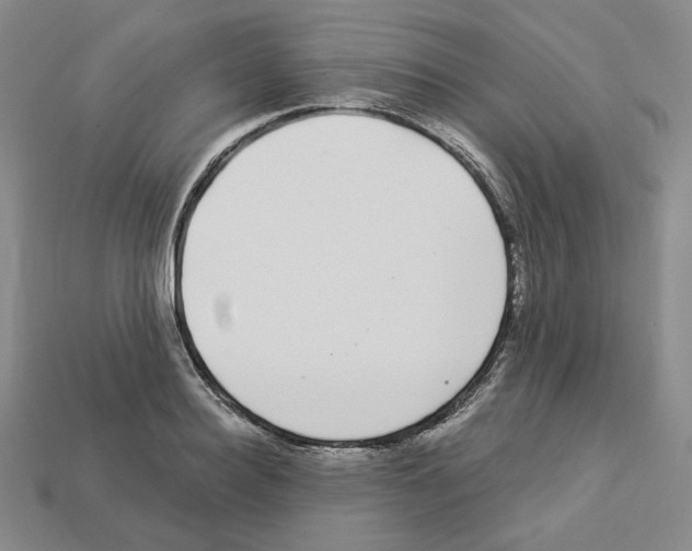X0000112900940200910021431