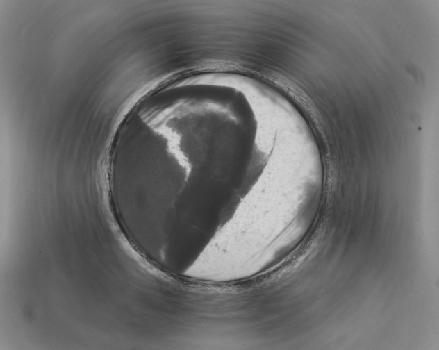 X0000112900941200910021431