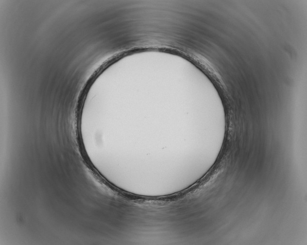 X0000112900942200910021431