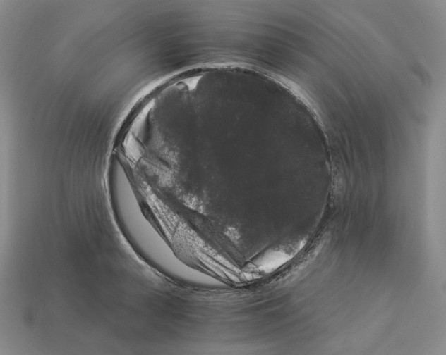 X0000112900943200910021431
