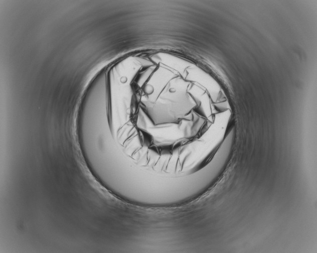 X0000112900944200910021431