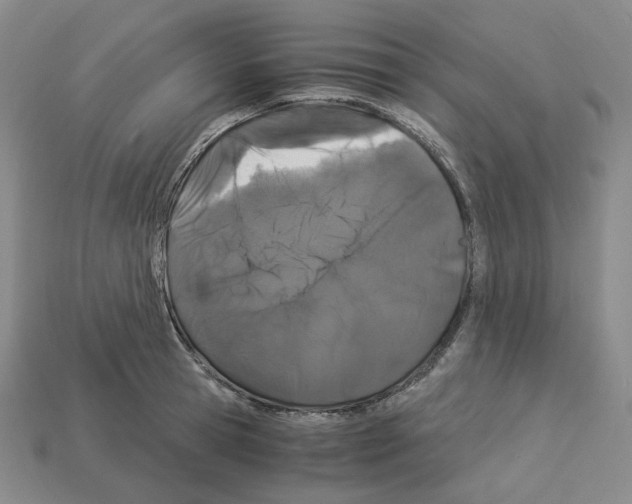 X0000112900945200910021431