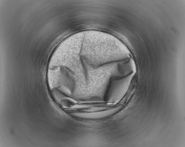 X0000112900946200910021431