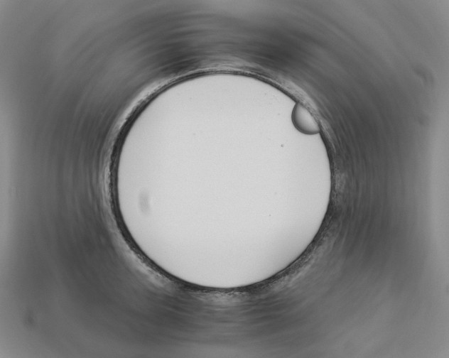 X0000112900947200910021431