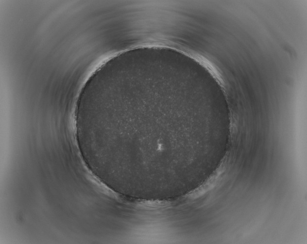 X0000112900950200910021431