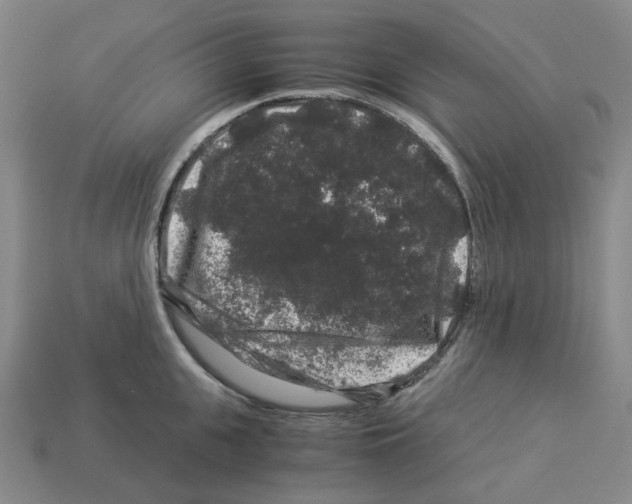 X0000112900951200910021431