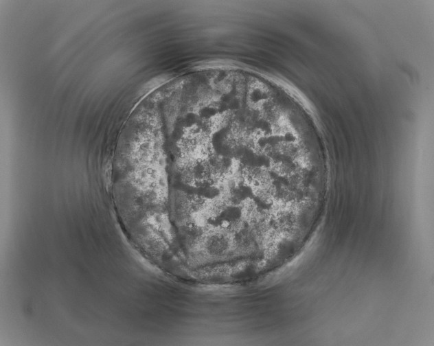 X0000112900953200910021431