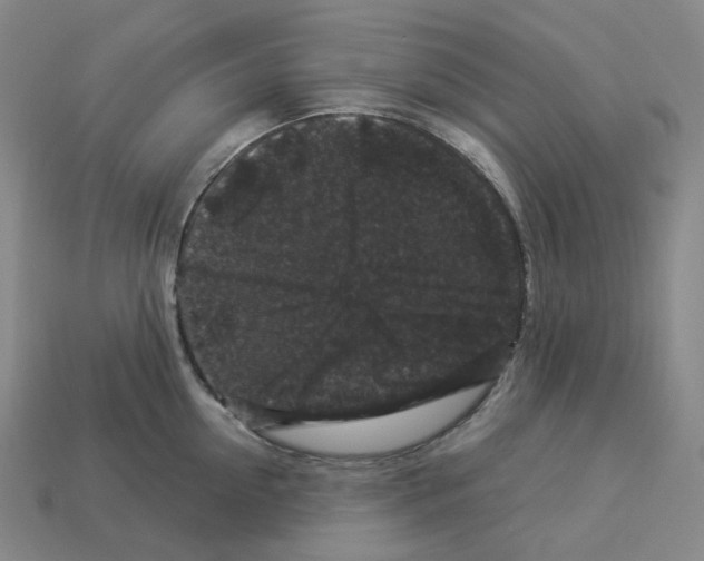 X0000112900954200910021431