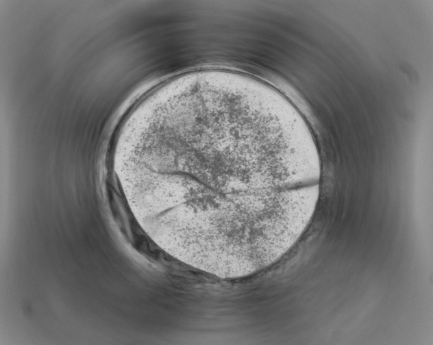 X0000112900955200910021431