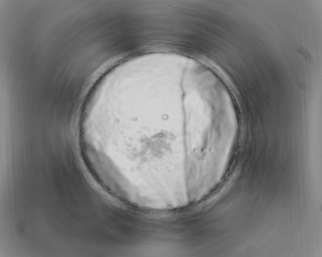 X0000112900957200910021431
