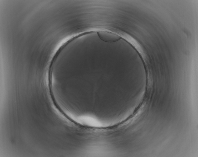 X0000112900958200910021432