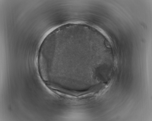 X0000112900959200910021432