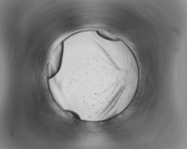 X0000112900960200910021432