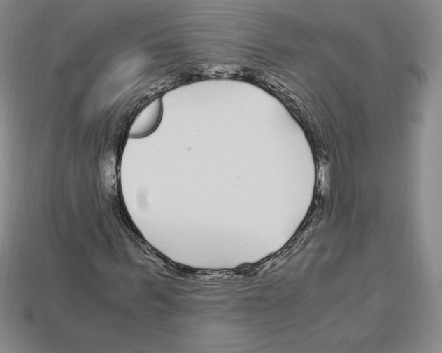 X0000112900963200910021431