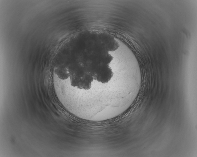 X0000112900964200910021431