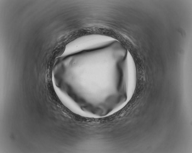 X0000112900965200910021431