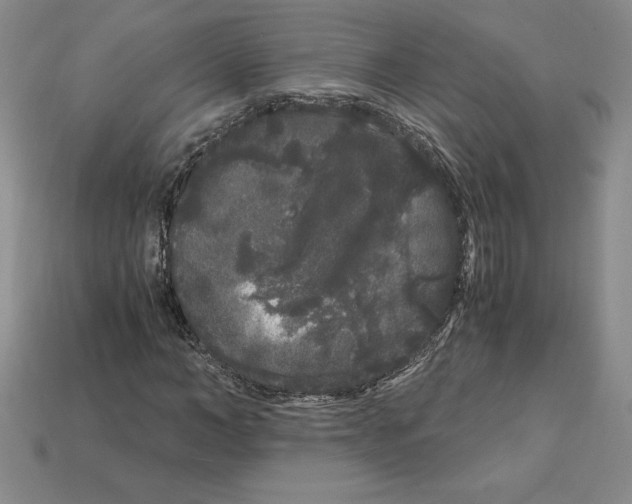X0000112900966200910021431