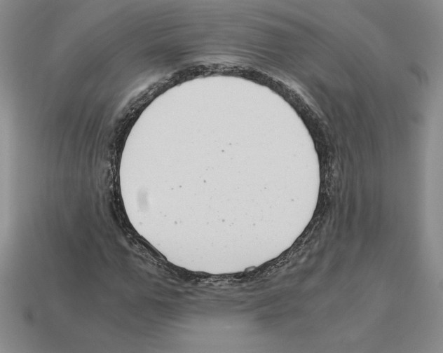X0000112900967200910021431