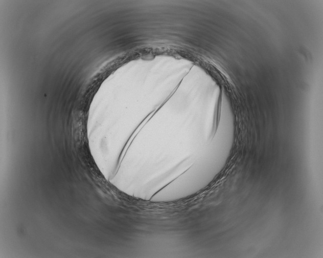X0000112900968200910021431