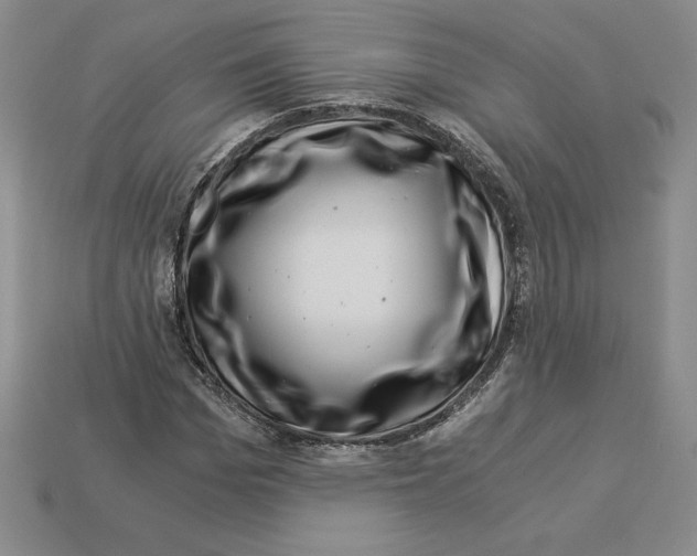 X0000112900969200910021431