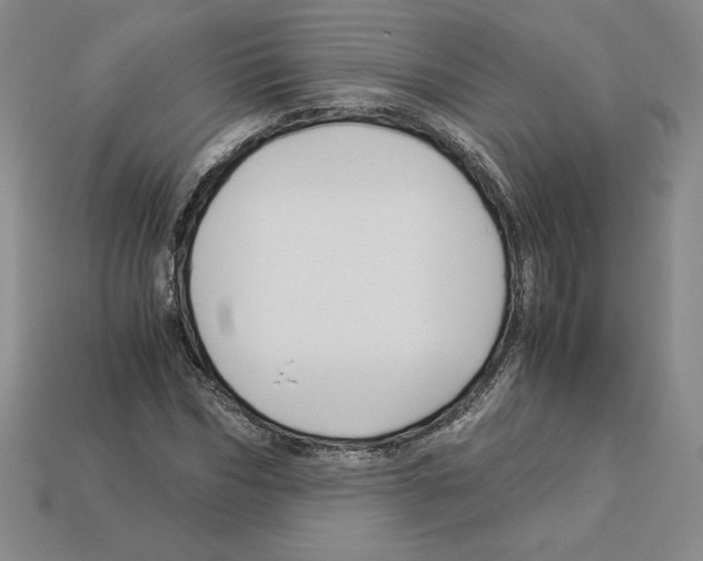 X0000112900970200910021431