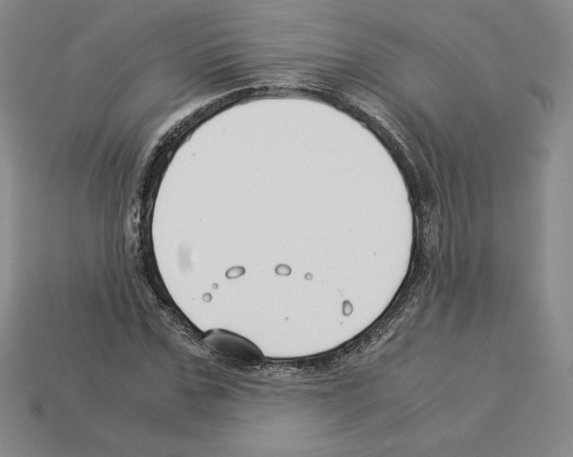 X0000112900971200910021431