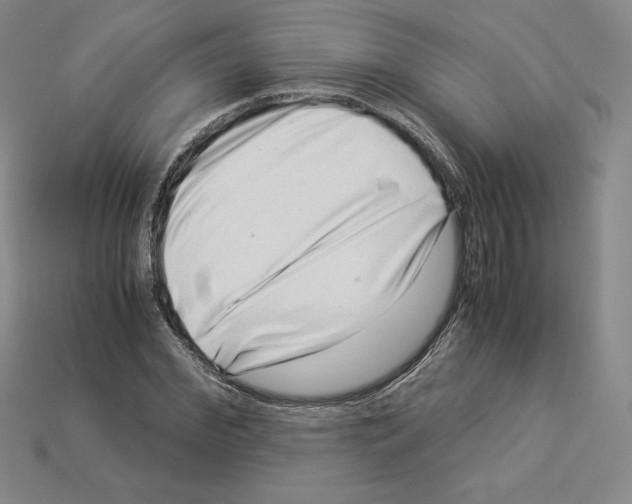 X0000112900972200910021431