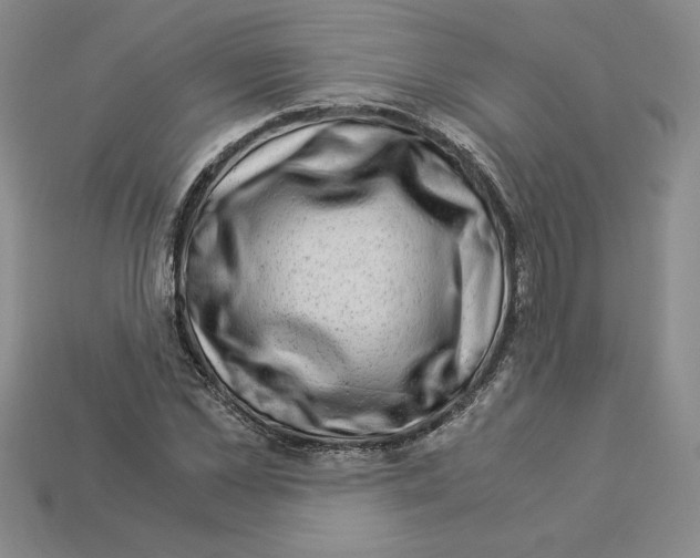 X0000112900973200910021431