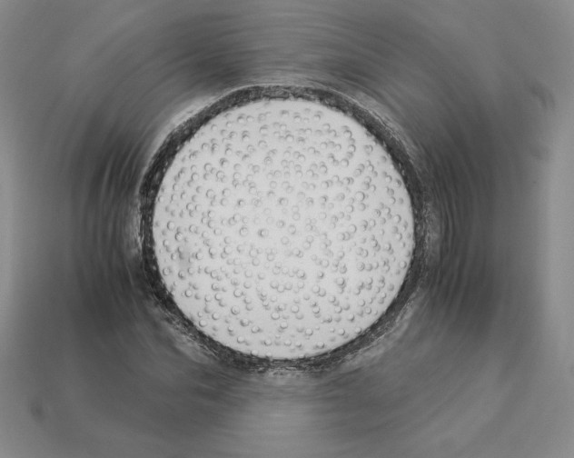 X0000112900974200910021431