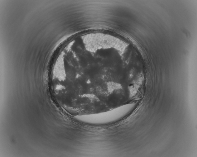 X0000112900975200910021431