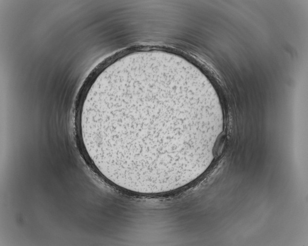 X0000112900976200910021431