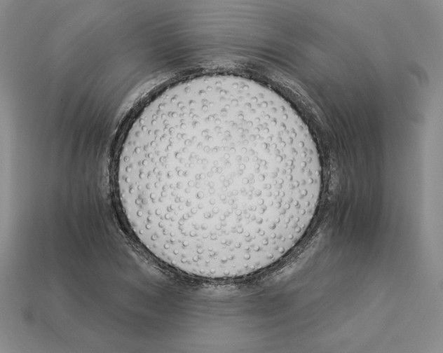 X0000112900978200910021431