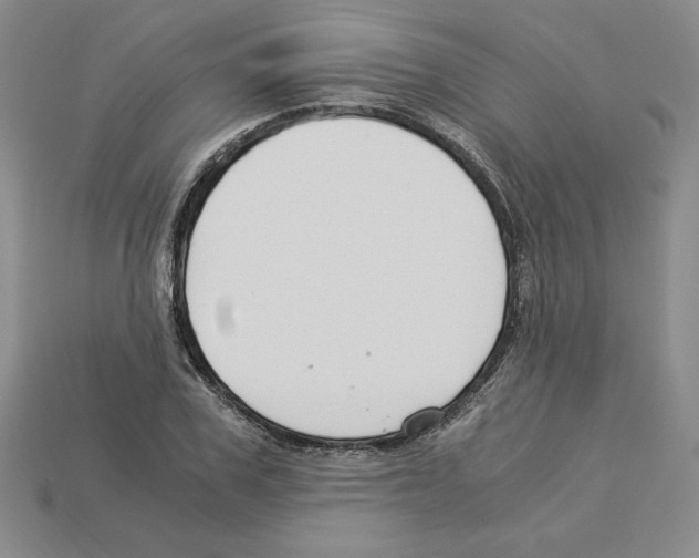 X0000112900979200910021431