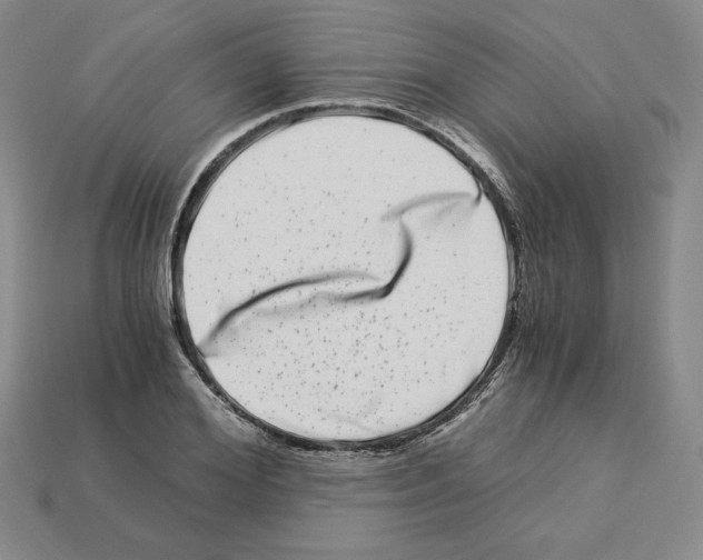 X0000112900980200910021431