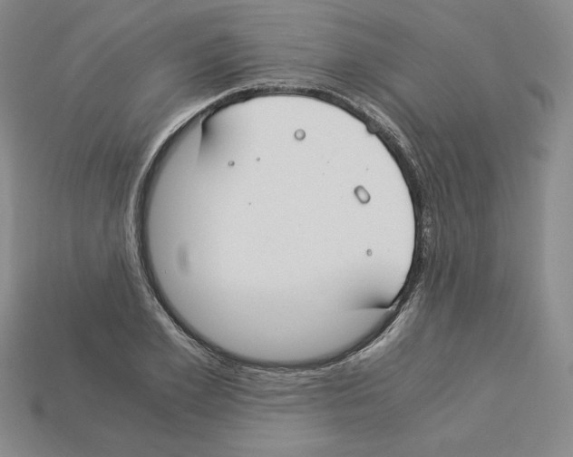 X0000112900981200910021431