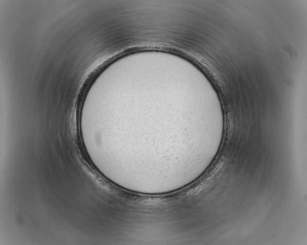 X0000112900982200910021431