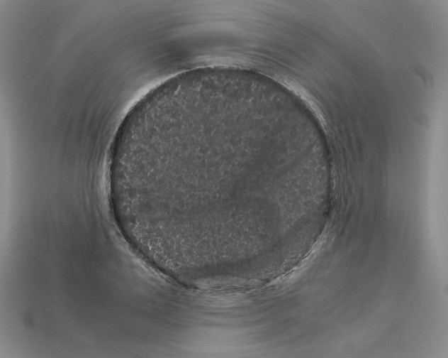 X0000112900983200910021431