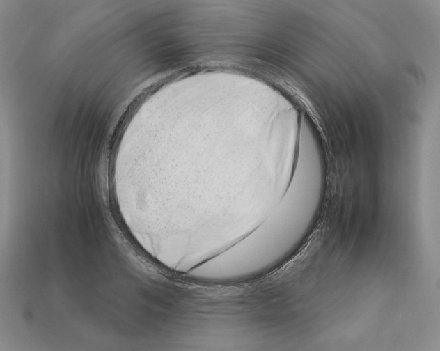 X0000112900984200910021431