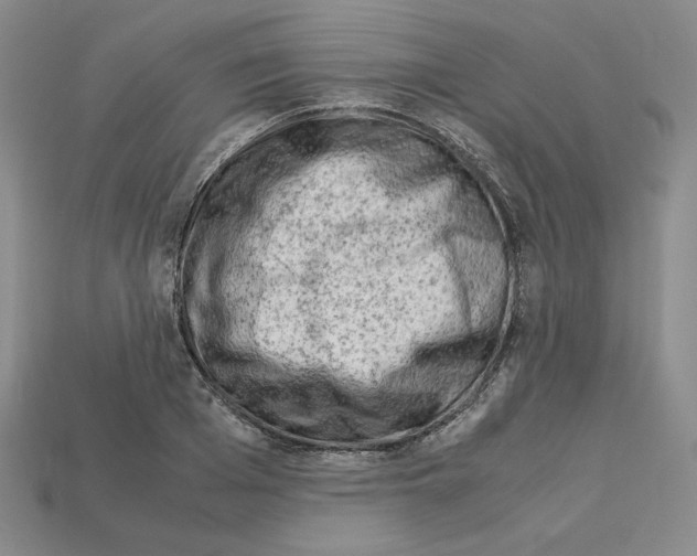 X0000112900985200910021431