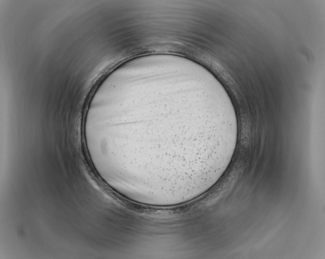 X0000112900986200910021431
