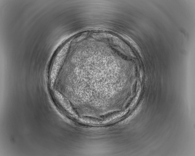 X0000112900989200910021431