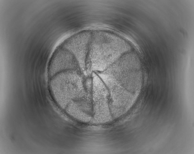 X0000112900990200910021431