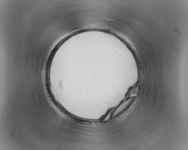 X0000112900991200910021431