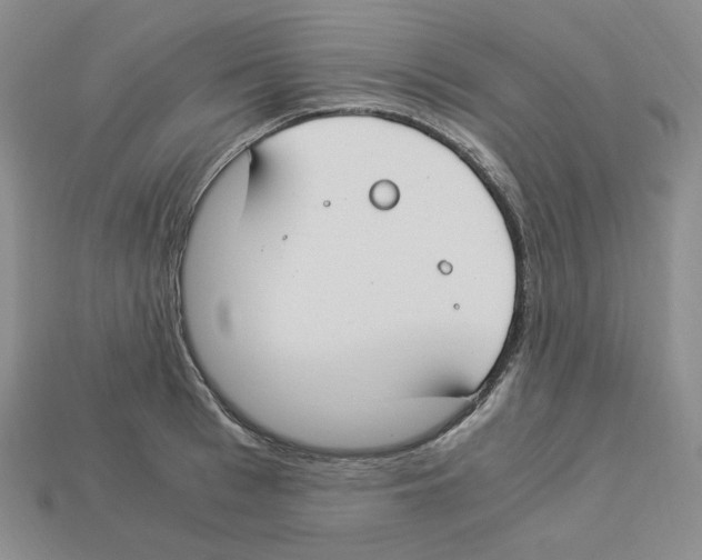 X0000112900993200910021431