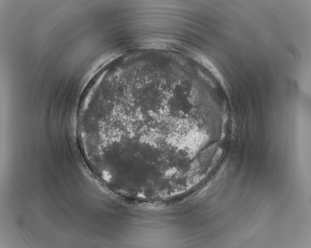X0000112900994200910021431