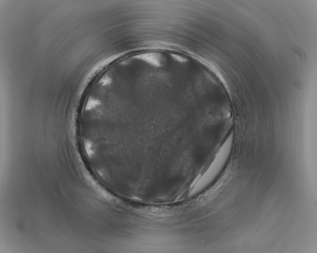 X0000112900995200910021430