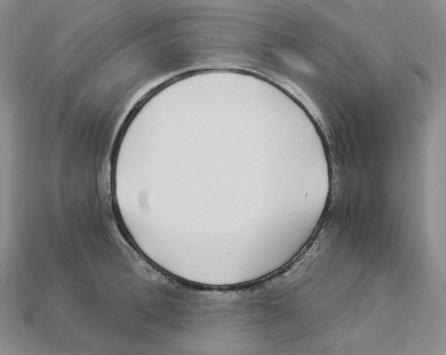 X0000112900996200910021430