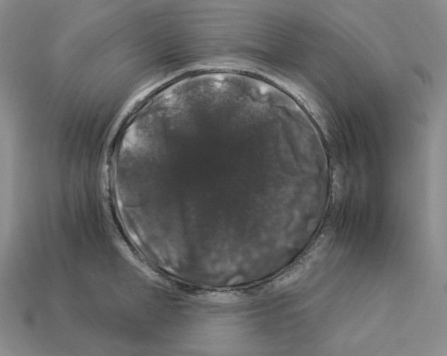 X0000112900998200910021430
