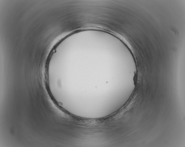 X0000112901003200910021430