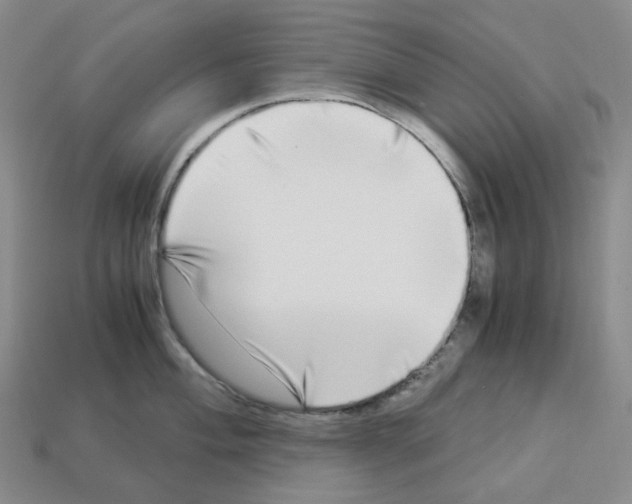 X0000112901004200910021430